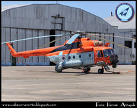 Аргентинские Ми-171Е (бортовые номера Н-94 и Н-95) (с) Hernan Attaguile/www.cabeceranorte.blogspot.com : Mi-171E 03.jpg