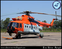 Аргентинские Ми-171Е (бортовые номера Н-94 и Н-95) (с) Hernan Attaguile/www.cabeceranorte.blogspot.com : Mi-171E 05.jpg