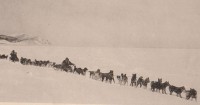 фотография гиляцкой упряжки сделанная на севере Сахалина в 1906 году : фотография гиляцкой упряжки сделанная на севере Сахалина в 1906 году.jpg