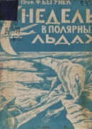 7 недель в полярных льдах.jpeg