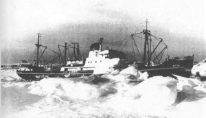  photoshare.ru-80403.jpg