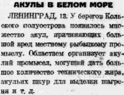  Власть труда 1927 № 013(2118) (16 янв.) Акулы в Белом море.jpg