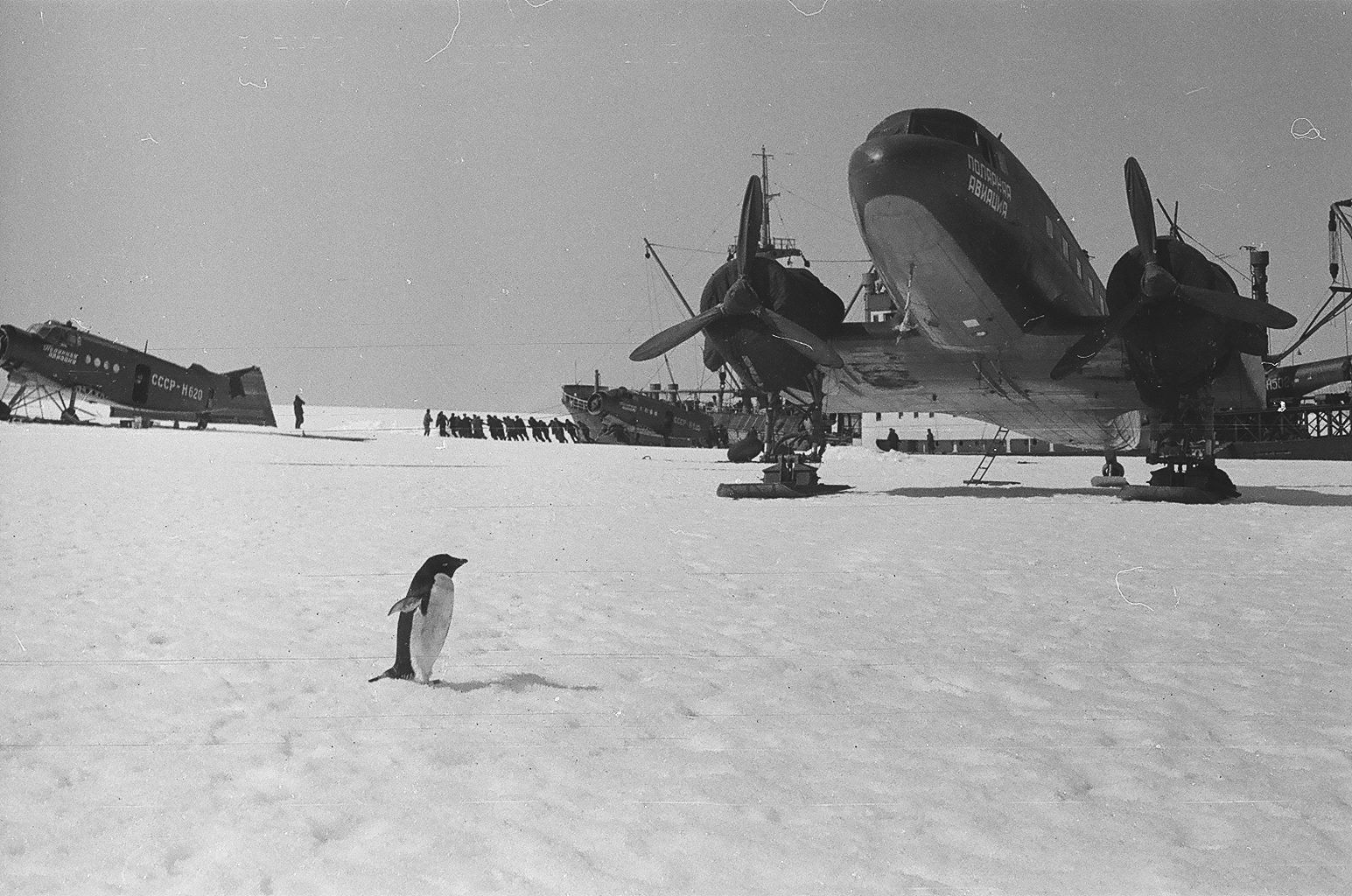 Полярная Почта • Просмотр темы - 1956-58: 2-я Комплексная Антарктическая  Экспедиция АН СССР