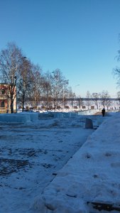  20160217_093534.jpg