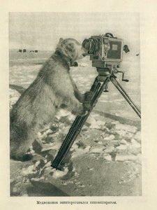  Медвежонок заинтересовался киноаппаратом.jpg