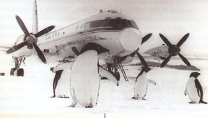  Ил-18 Антарктида.jpg