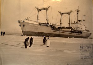  Пионер Эстонии, база Дружная, 27 САЭ, 20.12.1981 г.jpg