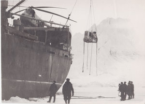  arct-1.jpg
