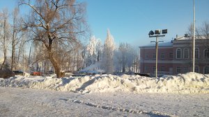  20170206_104503.jpg