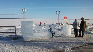  20170215_130906.jpg
