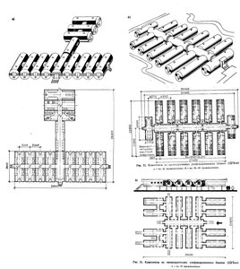  ris-31.jpg