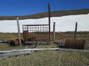  IMG_1572.jpg