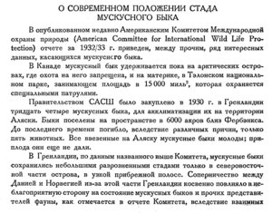  Бюллетень Арктического института СССР. № 3.-Л., 1934, с.128-129 мускусный бык - 0001.jpg