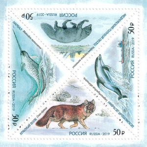  ef19a46c-c09b-4116-9bb3-3f7a8e6d6edf.jpg