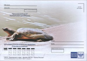  Ханкайский заповедник - Кожистая черепаха.jpg