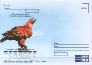  Ханкайский заповедник -Степной орел.jpg