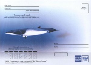  Приморский край. Дальневосточный морской заповедник. 5-й выпуск - 0004.jpg