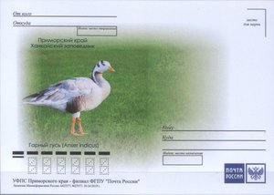  3-й выпуск - 0003.jpg