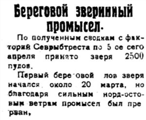  Полярная Правда, 1924, 16 апреля №19 лов зверя-1.jpg