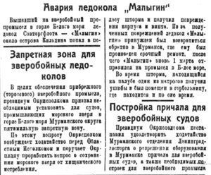  Полярная Правда, 1929, 3 марта №25 МАЛЫГИН.jpg