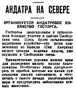  Правда Севера, №085_03-09-1929 ондатра.jpg