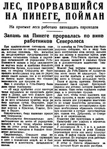  Правда Севера, №099_19-09-1929 залом на Пинеге лес пойман.jpg