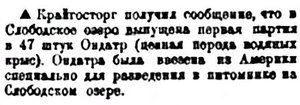  Правда Севера, №100_20-09-1929 ондатра.jpg