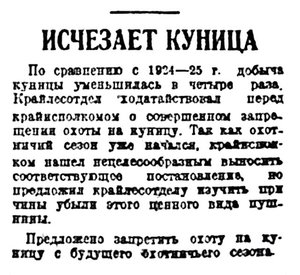  Правда Севера, №136_01-11-1929 куница.jpg