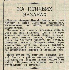  На птичьих базарах  Вечерняя Москва,  1940, №199 (5027), 28 августа .jpeg
