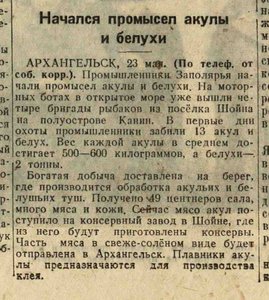  Начался промысел акулы и белухи  Известия Советов депутатов трудящих 1944, № 122 (8424), 24 мая   .jpeg