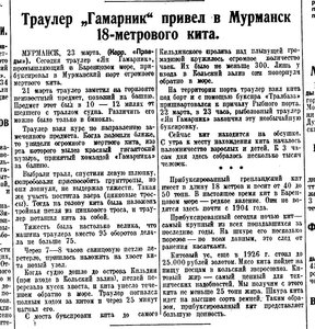  Траулер Гамарник привел в Мурманск 18-метрового кита  Правда, 1935, № 82 (6328), 24 марта.jpg