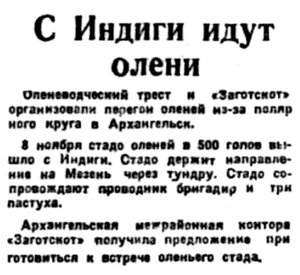  Правда Севера, 1933, № 262, 16 ноября - ОЛЕНИ.jpg