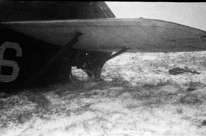  04-022570014.jpg