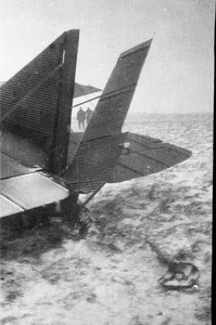  04-022570009.jpg