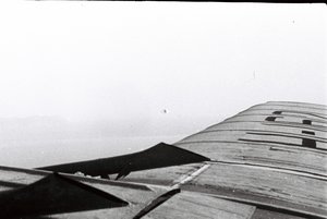  07.JPG