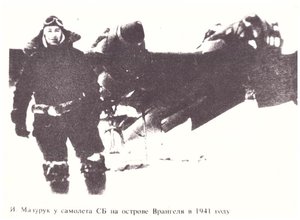  3520396.jpg