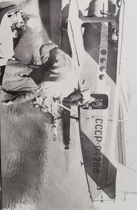  3588846.jpg