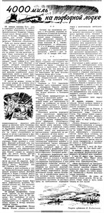  519382_original.jpg