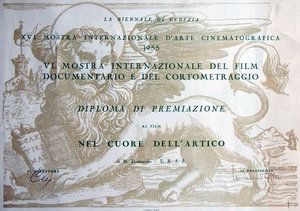  диплом Трояновского- VeneciaMT1aa.jpg