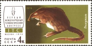  1974_CPA_4353_mint.jpg