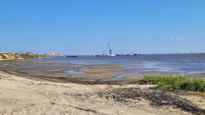  Новый Порт-8.jpg