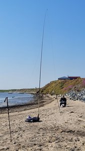  Новый Порт-9.jpg