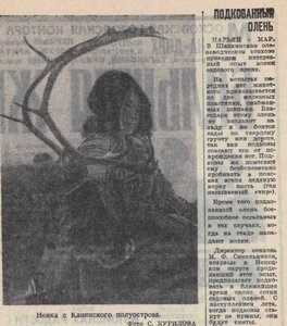  Подкованный олень.jpg