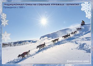  2d2bb74d-286a-4429-a269-f0b8f0b2ee07.jpg