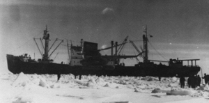  дэ Индигирка-Ньюфаунленд-Ми1-зверобой1961.png