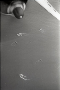  Ил-14 на рыбразведке в Охморе-МатвеевВ.П..png