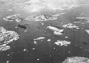  s24_ ЭОН-49 во льдах..jpg