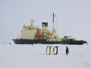  Kapitan Dranicyn.jpg